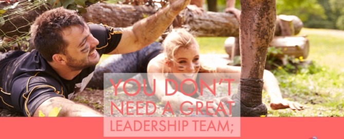 What is the Purpose of a Leadership Team